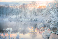 Reflecting on Winter
