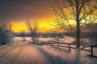Wintry Country Road