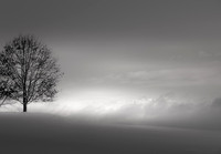 Above the Light