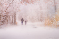 A Cold and Wintry Walk