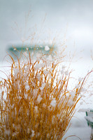 Snow Light