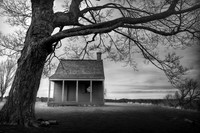 The Hut