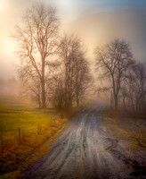 The Rural Road