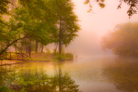 Island Mist