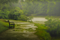 A Rainy Day at the Park