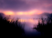 At Pond's Edge