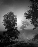 Down the Dirt Road