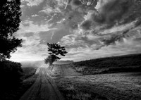Approaching the Light