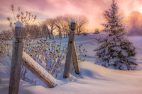 Winter at the Park