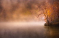 Rising Autumn Mist