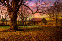 Abandoned