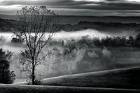 Valley of Light