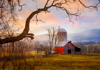 Morning at the Barn