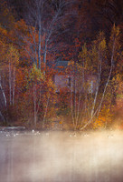 An Autumn Swim